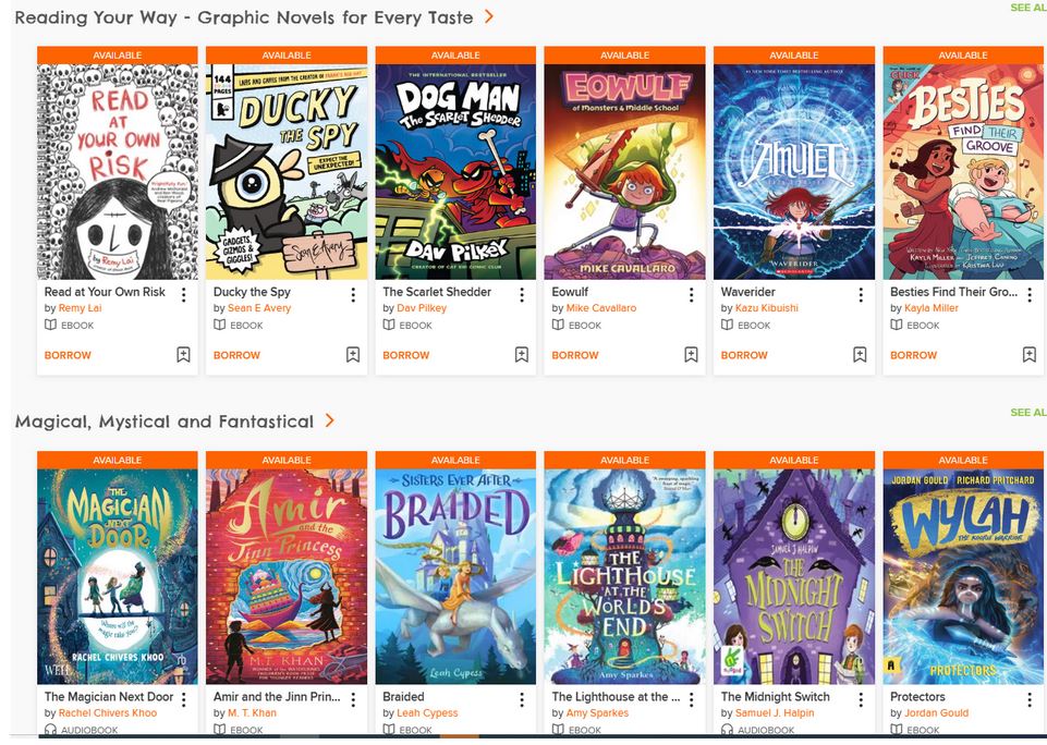 screen shot of covers of various genres of books